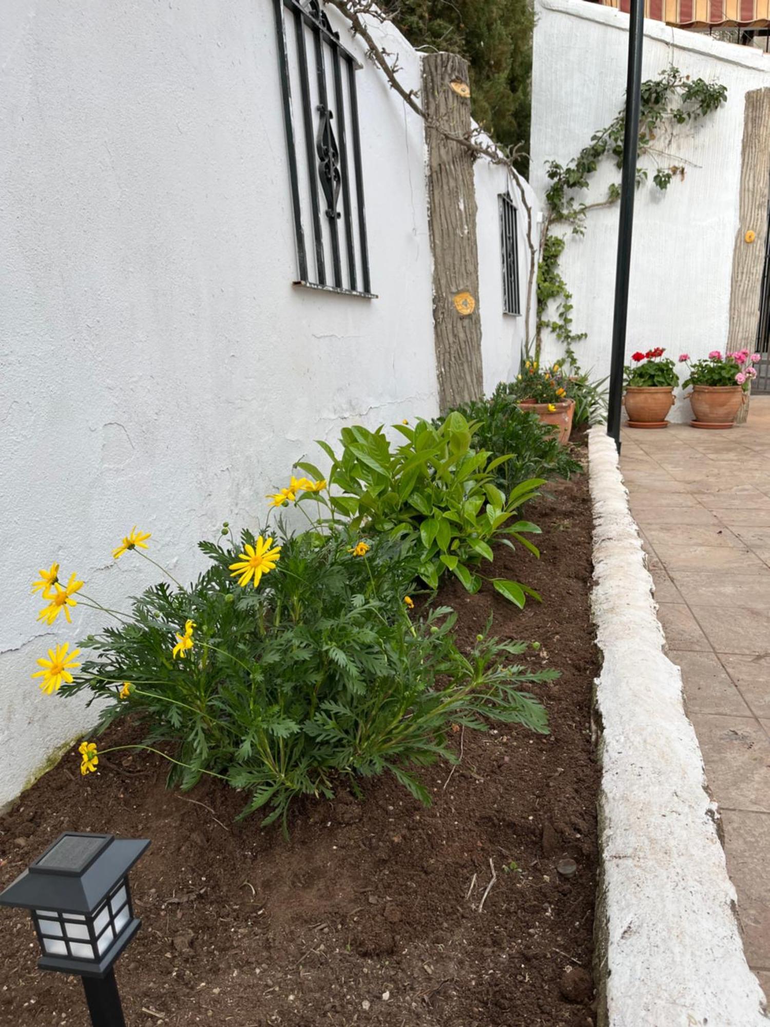 אוסה דה מונטיאל Casa Rural Abuelo Raimundo מראה חיצוני תמונה